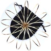 image:imagePILPOC Flow Ring Infinity Loop Spinner  Arm Slinky Flow Toys Spinner Ring